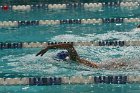 Swimming vs Babson  Wheaton College Swimming vs Babson College. - Photo By: KEITH NORDSTROM : Wheaton, Swimming, Babson